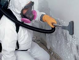 Forensic Mold Investigation in St Charles, MN